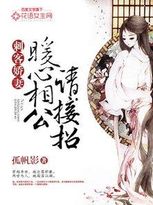 不是娇妻是刺客,她不是娇妻，而是传奇刺客